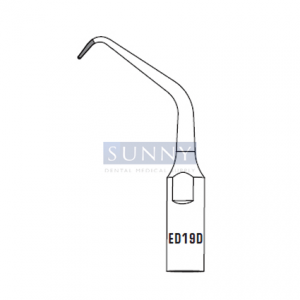 ED19D Scaling Tip