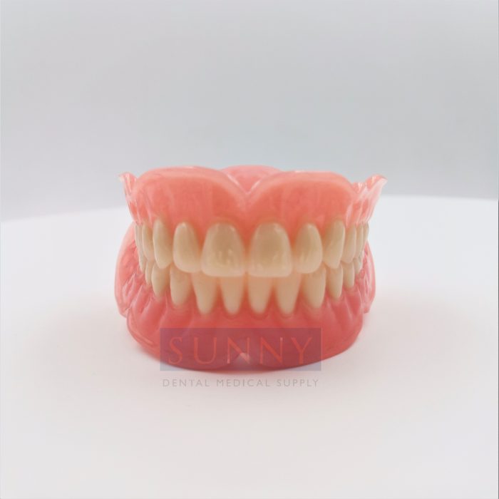 Tooth Acrylic Design Acrylic Denture - Sunny Dental Medical Supply